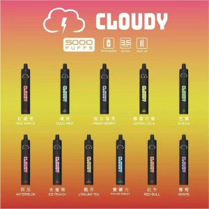 Cloudy一次性主機